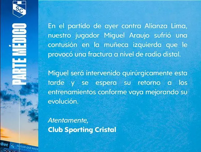 miguel araujo miguel araujo