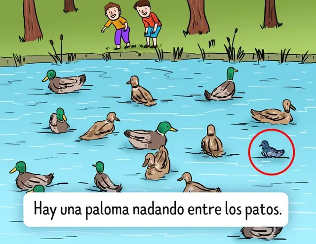 reto visual reto visual