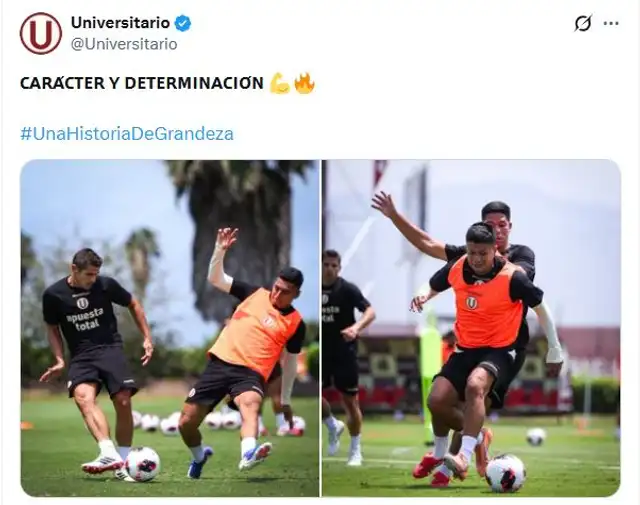 Universitario