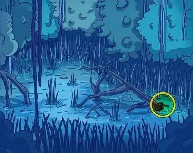 retos visuales