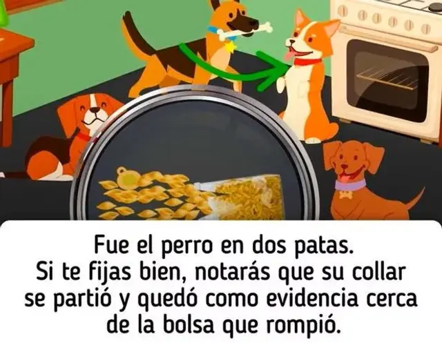 acertijo visual