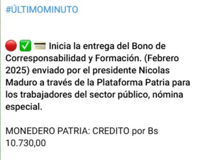 bono corresponsabilidad y formacion