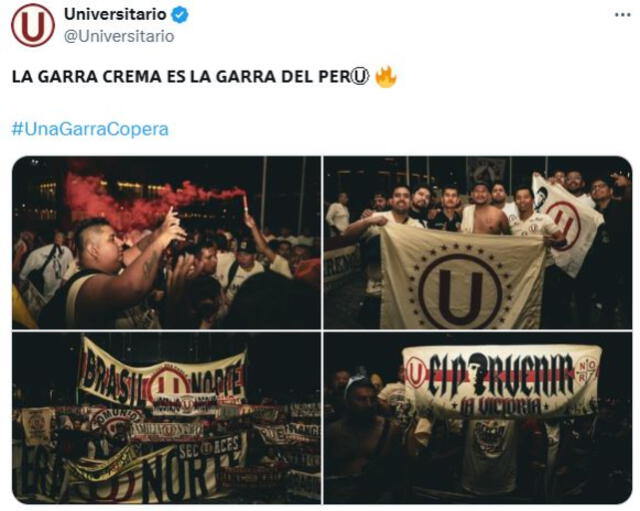 Universitario
