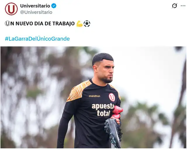 Rodrigo Ureña, Universitario