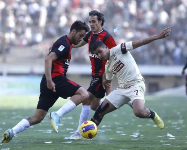 Universitario