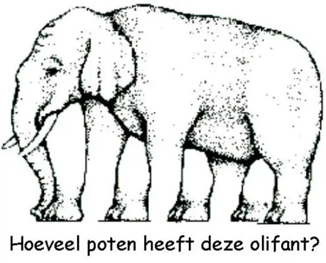 retos visuales retos visuales