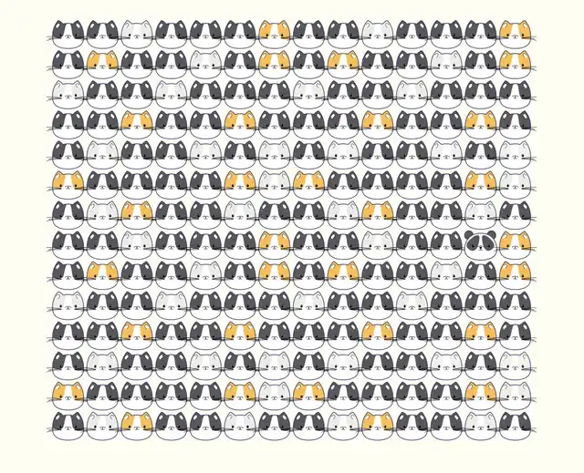 ¿Dónde está el panda? Foto: Smart Brain Puzzles   