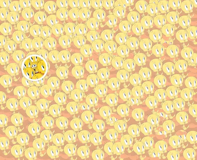 retos visuales retos visuales