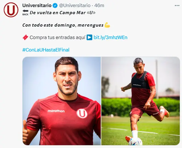 universitario