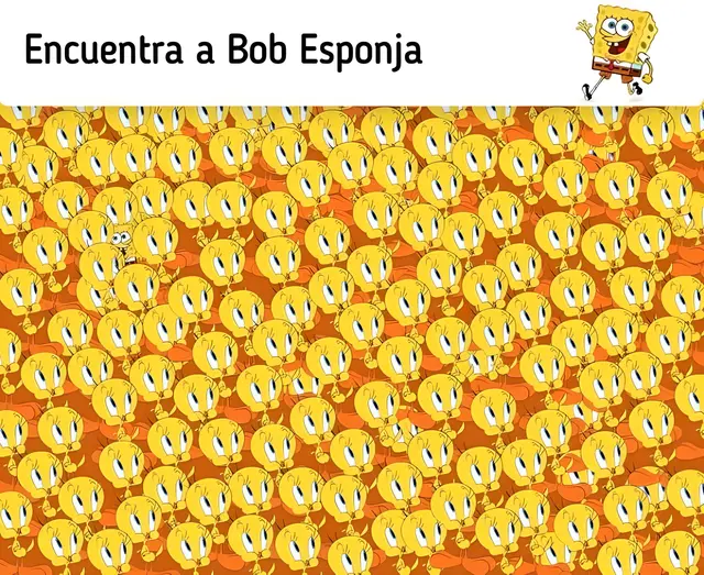 reto visual reto visual