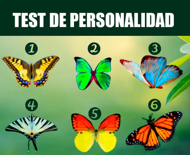 test de personalidad: Imagen