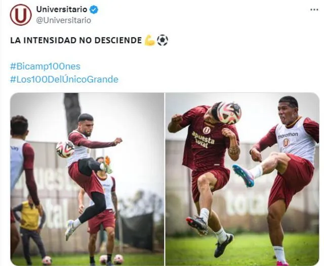 Universitario