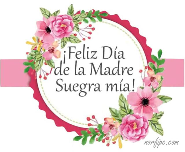 Frases por el Día Mundial de la Suegra