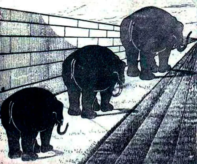  ilusión óptica