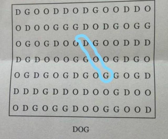reto visual dog reto visual dog