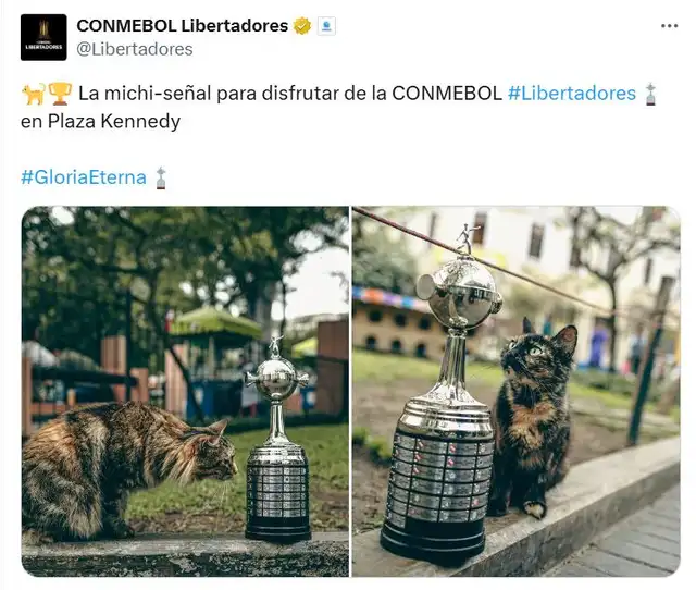 Copa Libertadores Copa Libertadores