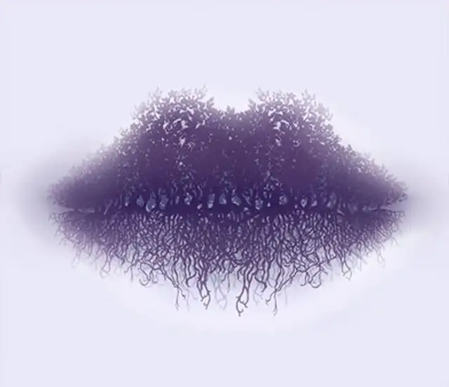 Test VIsual Test VIsual