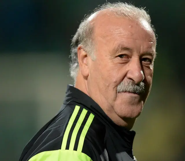 Vicente del Bosque