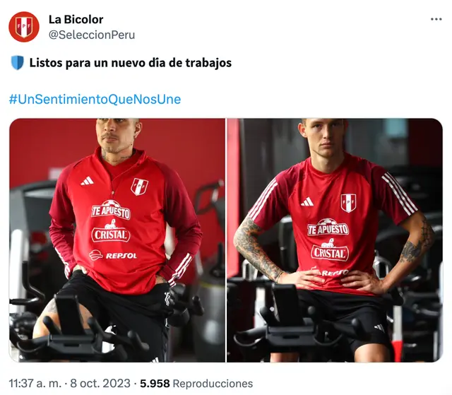 Selección peruana
