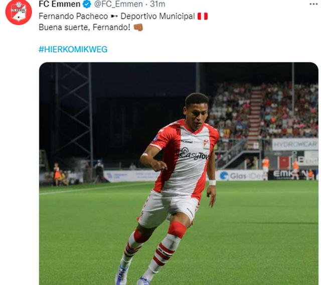 fernando pacheco