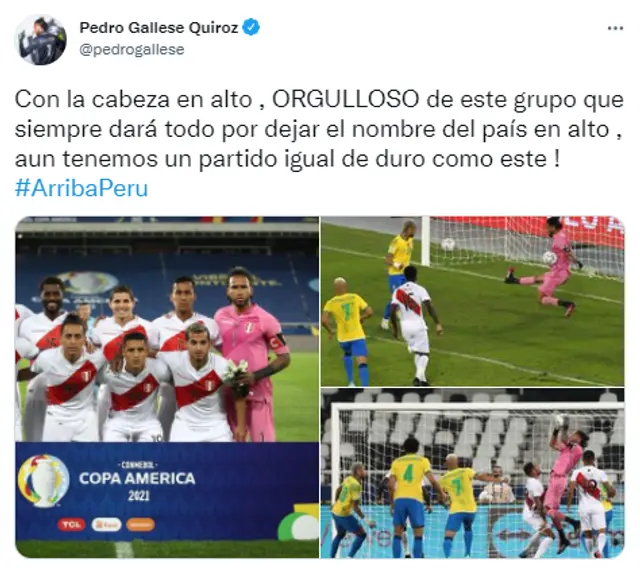 pedro gallese
