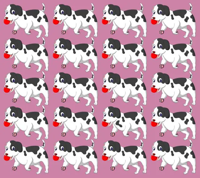 Foto: depositphotos.com   