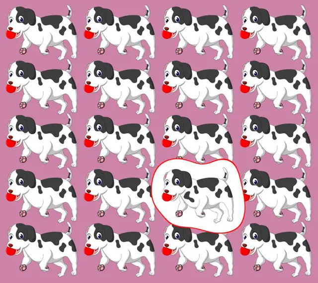 Foto: depositphotos.com   