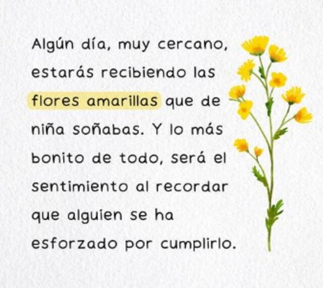 Frases de flores Amarillas Frases de flores Amarillas