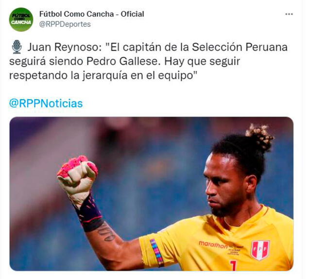 Pedro Gallese