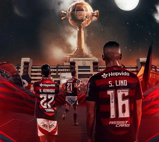 Flamengo, Copa Libertadores