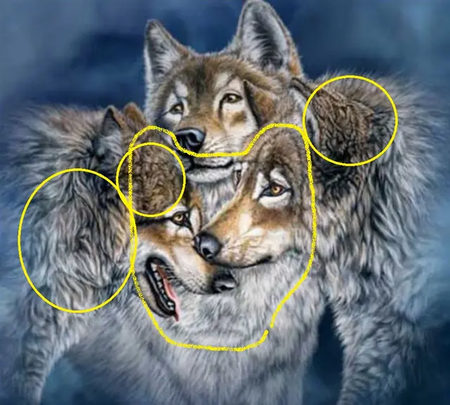 Mira donde estaban los otros lobos. | Foto: Twitter Acertijos y puzzles Mira donde estaban los otros lobos. | Foto: Twitter Acertijos y puzzles