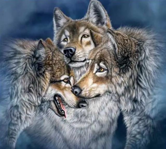 Ubica a los lobos en 10 segundos. | Foto: Twitter Acertijos y puzzles Ubica a los lobos en 10 segundos. | Foto: Twitter Acertijos y puzzles