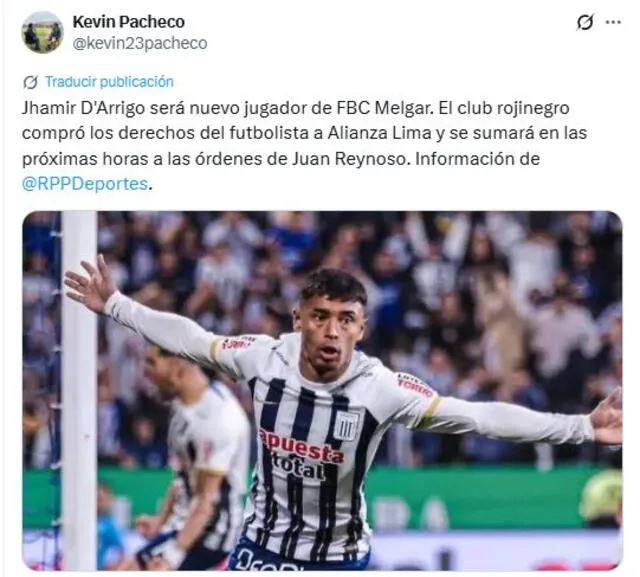 Jhamir D’Arrigo
