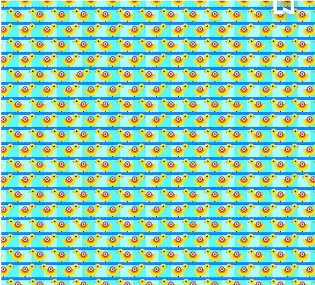 Reto visual, encuentra los tres patos que va en sentido contrario, imagen completa.