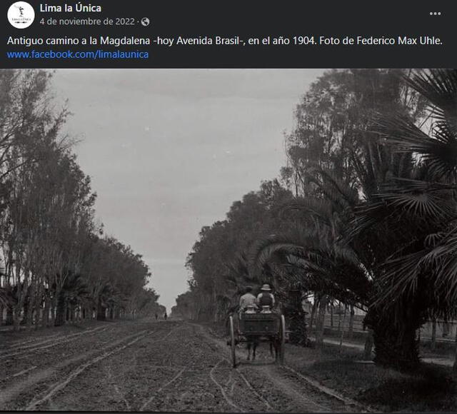 avenida Brasil avenida Brasil