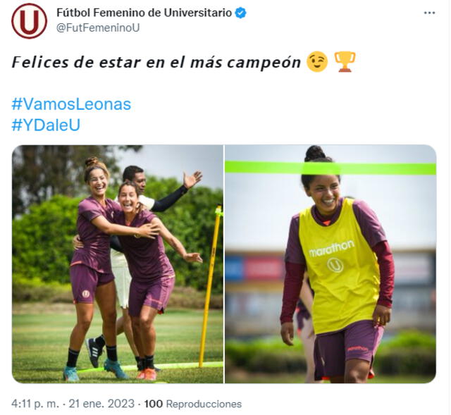 Universitario