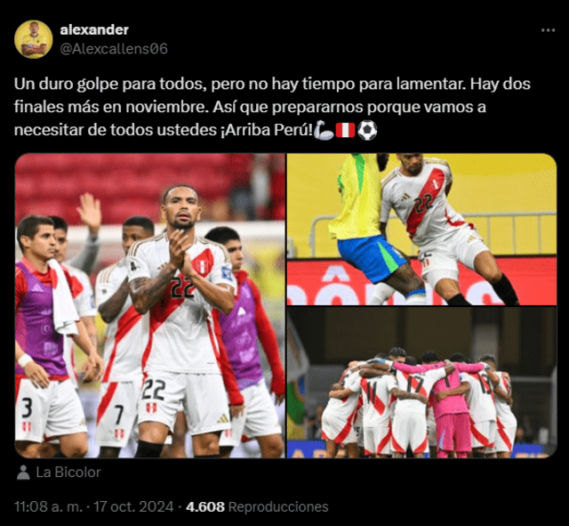 Alexander Callens, Selección Peruana