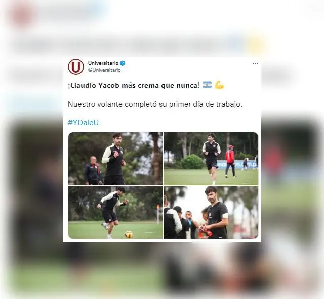 Universitario Universitario