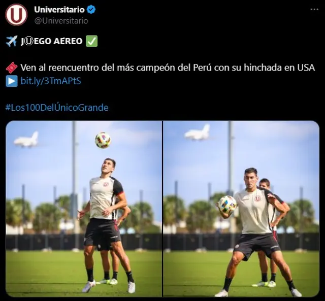 Apuestas Apuestas