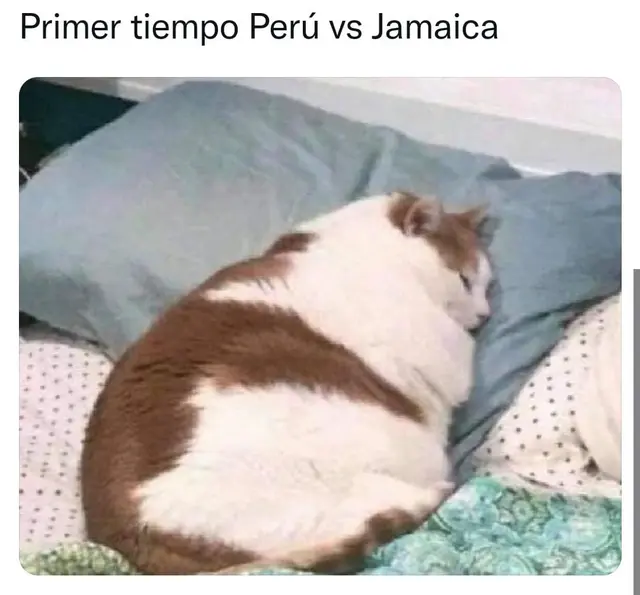 Selección Peruana