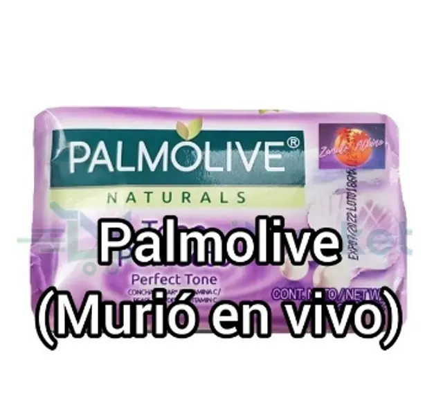 meme meme