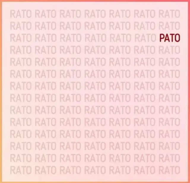 Reto visual