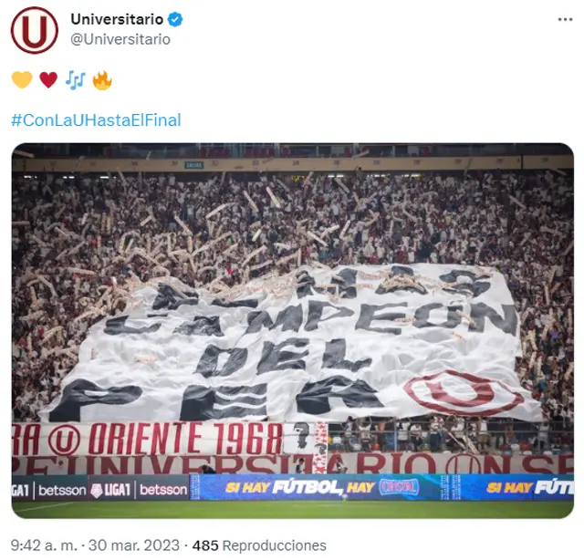 Universitario