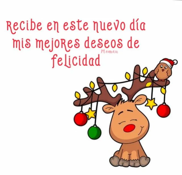 frases de navidad