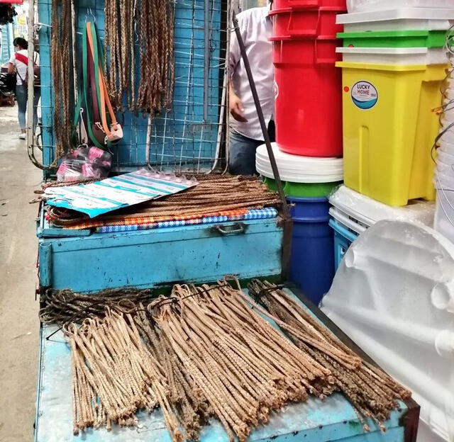 chicote datos curiosos chicote datos curiosos