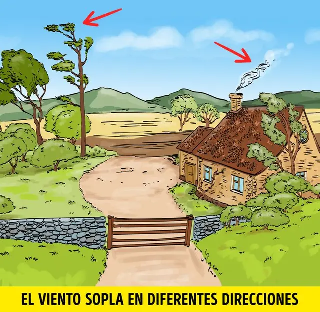 Solución del reto visual | Foto: Genial Guru Solución del reto visual | Foto: Genial Guru