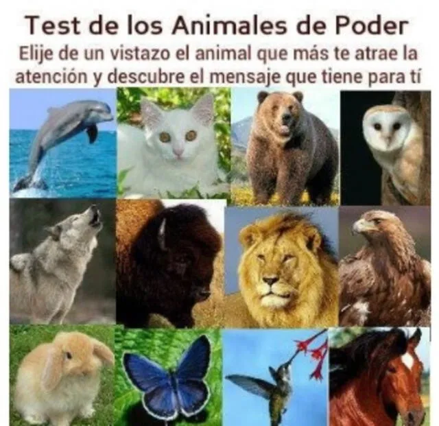 Test de personalidad Test de personalidad