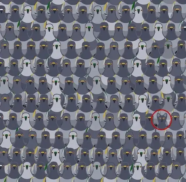 reto viral