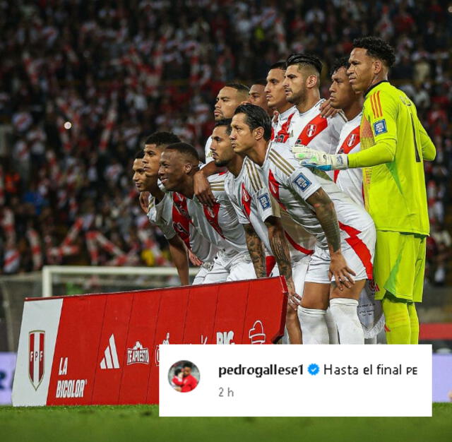 La publicación de Gallese tras el Perú vs. Colombia | Foto: Instagram Pedro Gallese   