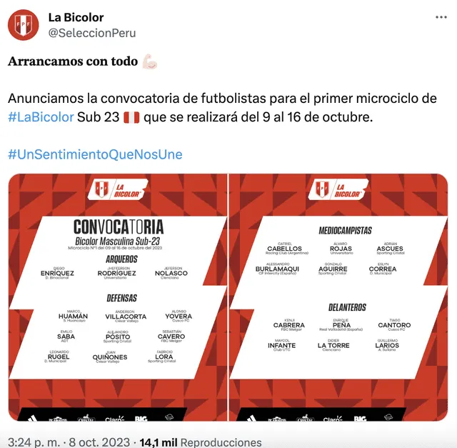 Selección peruana